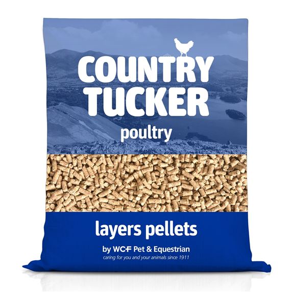 Layers Pellets