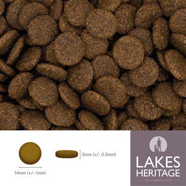Grain Free Dog Food - Beef with Carrot