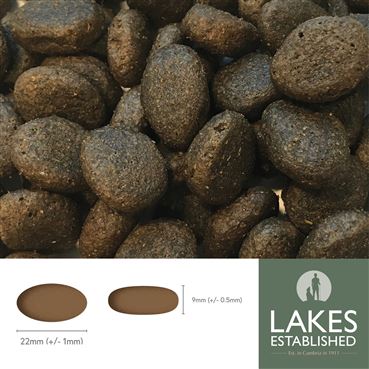 Hypoallergenic Dog Food - Salmon