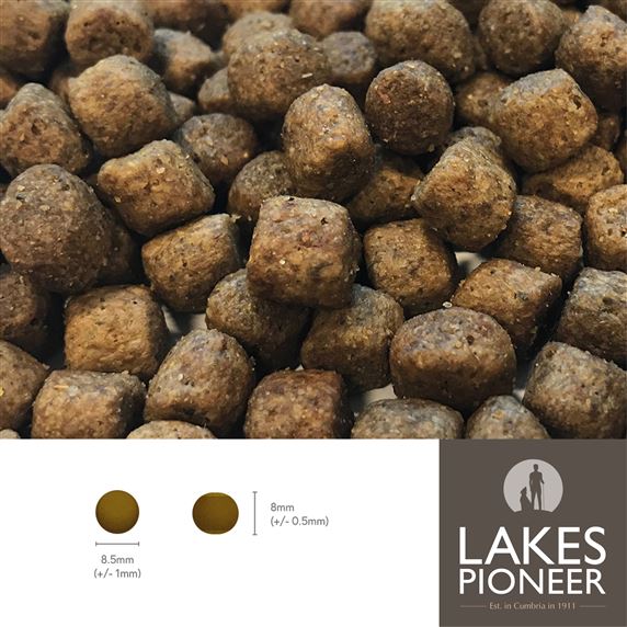 Pioneer naturals dog food shop