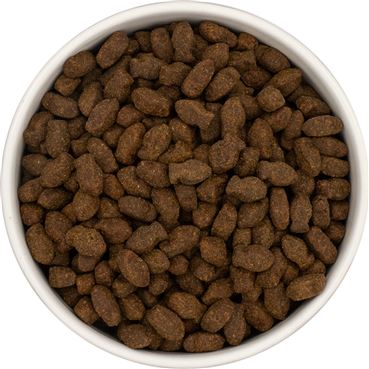 Grain Free Dog Treats - Fish