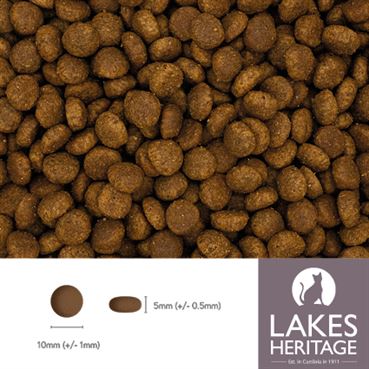 High Protein Kitten Food - Turkey & Chicken