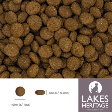High Protein Cat Food - Salmon with White Fish