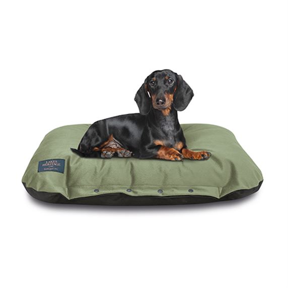 Cushioned Dog Bed - Green