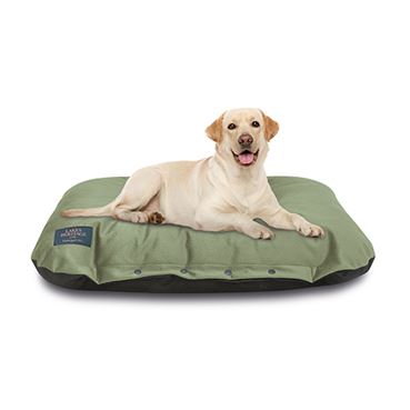 Cushioned Dog Bed - Green