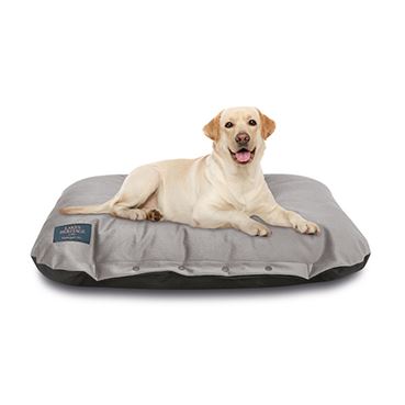 Cushioned Dog Bed - Grey