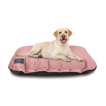 Cushioned Dog Bed - Pink